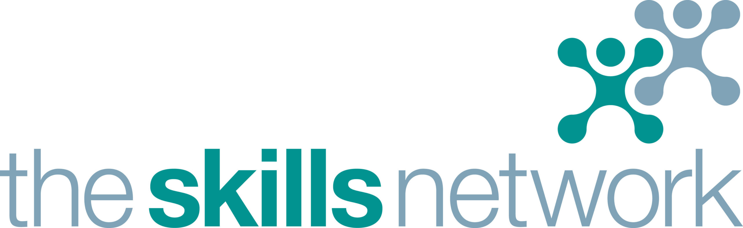 TheSkillsNetworkLogo